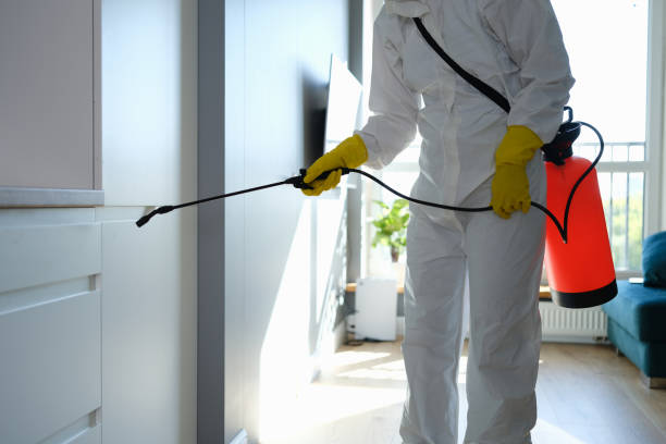 Best Insurance-Related Mold Remediation in West Blocton, AL